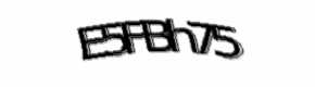 Security check image, please type the characters shown